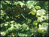 Belize 2008-365.JPG