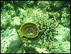 Belize 2008-366.JPG