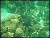 Belize 2008-368.JPG