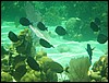 Belize 2008-370.JPG