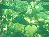 Belize 2008-371.JPG