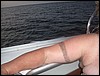Belize 2008-381.JPG