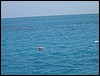 Belize 2008-411.JPG