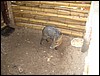 Belize 2008-424.JPG