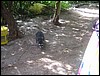 Belize 2008-425.JPG
