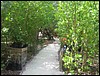 Belize 2008-426.JPG