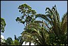 Belize 2008-470.JPG