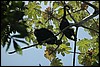 Belize 2008-473.JPG