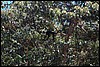 Belize 2008-475.JPG