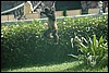 Belize 2008-478.JPG