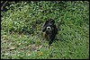 Belize 2008-479.JPG