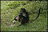 Belize 2008-480.JPG