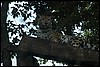 Belize 2008-482.JPG