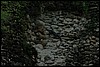 Belize 2008-491.JPG