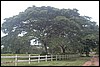 Belize 2008-504.JPG