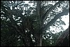 Belize 2008-513.JPG