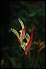 Belize 2008-514.JPG