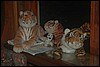 Belize 2008-516.JPG