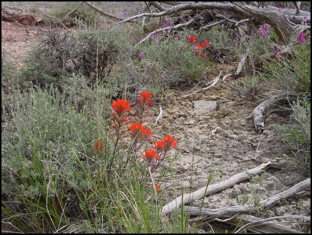 Colorado Memorial Day 2001-02.JPG