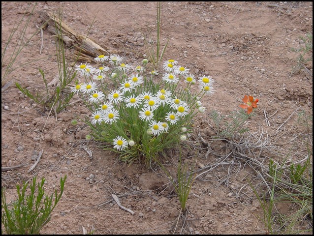 Colorado Memorial Day 2001-05.JPG