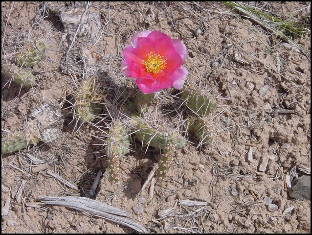 Colorado Memorial Day 2001-16.JPG