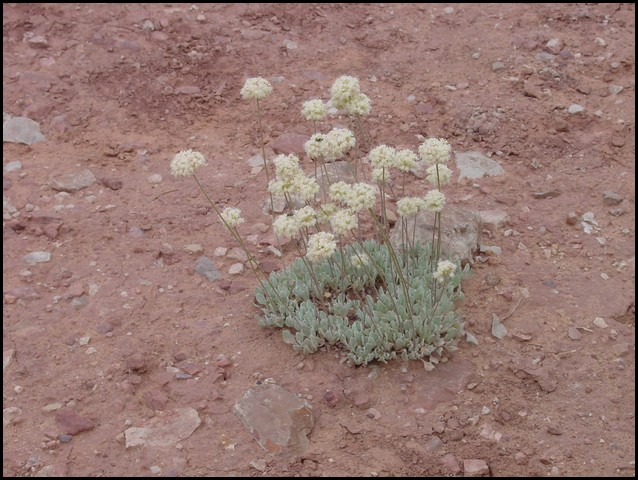 Colorado Memorial Day 2001-17.JPG