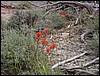 Colorado Memorial Day 2001-02.JPG