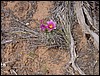 Colorado Memorial Day 2001-10.JPG