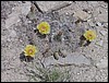 Colorado Memorial Day 2001-15.JPG