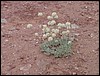 Colorado Memorial Day 2001-17.JPG