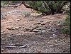 Colorado Memorial Day 2001-23.JPG
