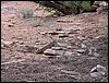 Colorado Memorial Day 2001-24.JPG