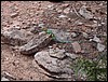 Colorado Memorial Day 2001-25.JPG