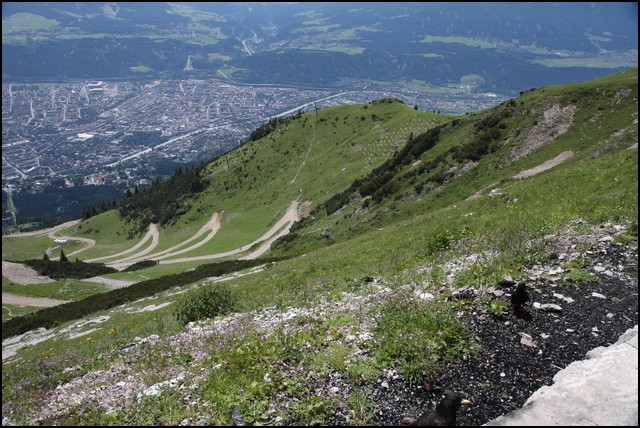 Innsbruck-108.JPG
