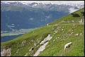 Innsbruck-098.JPG