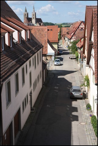 Rothenberg-10.JPG