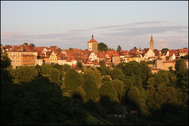 Rothenberg-39.JPG