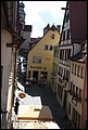 Rothenberg-03.JPG