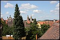Rothenberg-09.JPG