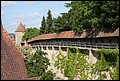 Rothenberg-11.JPG
