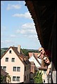 Rothenberg-13.JPG