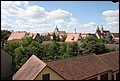 Rothenberg-15.JPG