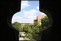 Rothenberg-17.JPG