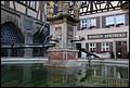 Rothenberg-24.JPG