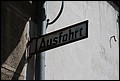 Rothenberg-26.JPG