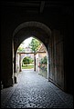 Rothenberg-37.JPG