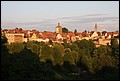 Rothenberg-39.JPG
