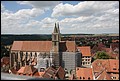 Rothenberg-52.JPG