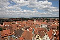 Rothenberg-54.JPG