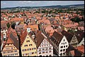 Rothenberg-59.JPG
